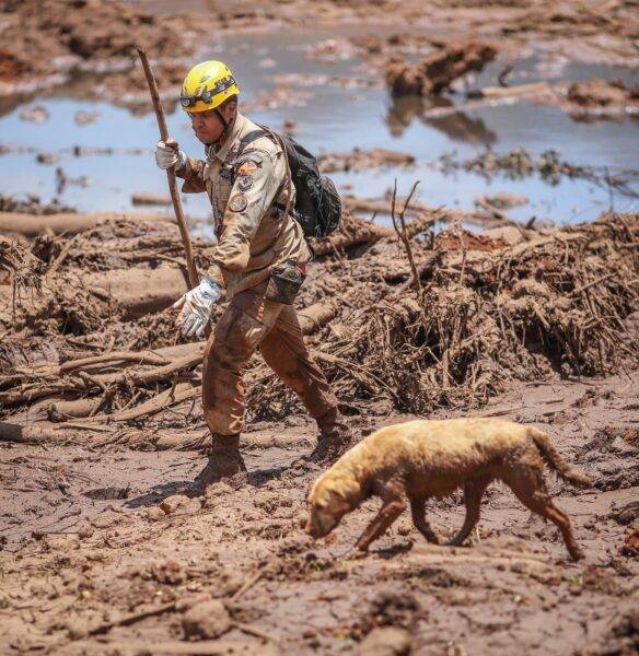 Desastre Brumadinho